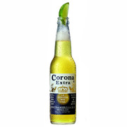 corona-x6-6-p.jpg