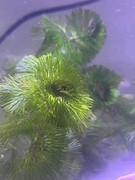 WhatsApp Image 2025-08-18 at 00.00.39