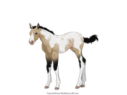 25F8BC81-3BD4-4F2D-B826-F1B169382EA9