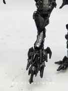 ROTF-Fallen-inhand-11