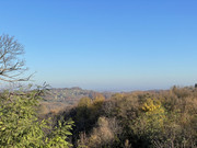 apple_iphone_12_pro_photo_6a