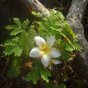 photo 15 2025 12 14 21 51 41