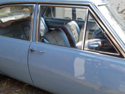 104227824_674866813365860_4999086326493233817_n