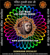 Foreign   Visa Solutions in India Punjab Phillaur Jalandhar +91-9878836002   https://www.pandittulsi