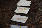 DSC-0580