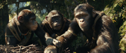 vlcsnap-2024-07-09-15h56m57s231.png