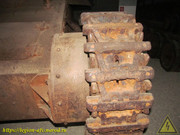 IMG-6003