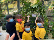 photo-littlefarmer2223-2B-002