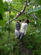 9ee455e12337b9bb78ba982839b24b29