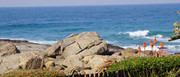 Wallback-Rock