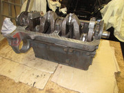 IMG-4896.jpg