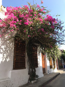 IMG-8775