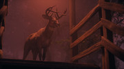 Alan-Wake2-2026-06-09-21-20-46-093
