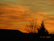 DSCN7295