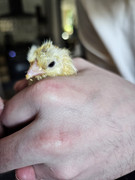 f075fc01-7eb7-4eea-89e2-3b90af87466e