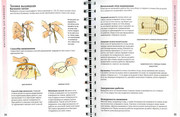 Betti-Barnden-Vyshivka-Entsiklopedia-19