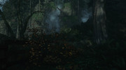 Alan-Wake2-2026-06-06-16-12-44-222