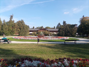 Obrazek