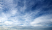 DSC-8356