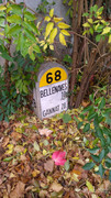 P-20201028-104554-p.jpg
