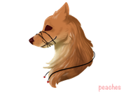 156145B5-B7AF-46D1-B60D-E68A712C1D42