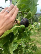 A2C59FE9-2515-4F72-B504-7EC650325C4E