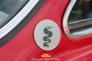 IMG-2525