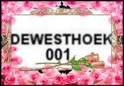 1-20