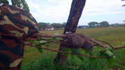Padang-Bola-BPJ-080313-(2)