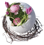 0-1c1b32-e460a5db-orig