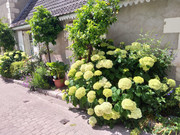 P-20210620-155527-v-HDR-On-p.jpg