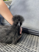 2DCA6916-1AED-45DE-8A21-BCD77A7ED042