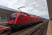 IMG-2767