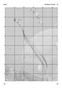 Apelsiny-1