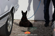 IMG-0279
