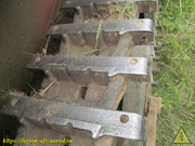 IMG-6631