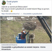 Kép