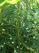 61850724_328994581110260_6125668132070621184_n