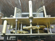 WhatsApp Image 2024-10-02 at 19.08.27(2)