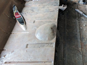 PXL-20230618-123702821-1.jpg