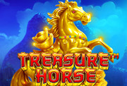 TreasureHorse