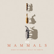 Mammals / EN
