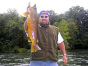 Little-Red-River-Brown-Trout