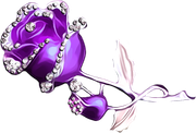 MVDLavender-Love-119