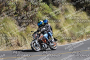 IMG-1380