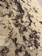 8CD73555-268A-4F89-A88C-46EFA5440220