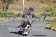 IMG-2604