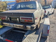 PXL_20241027_194909314