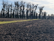 PXL 20260207 101106878