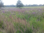 [Obrázky: 20190717-165725.jpg]